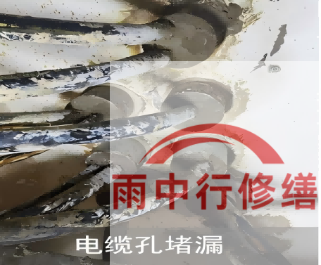 静海电缆线空洞堵漏加固案例