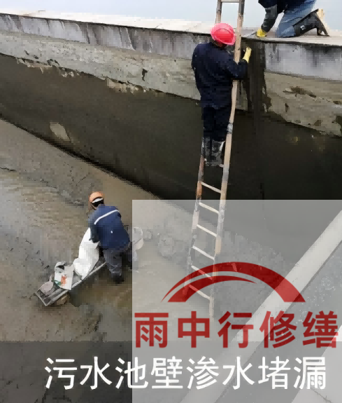 静海2026年防水龙头半月两次涨价，行业格局重塑信号