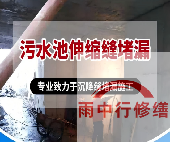 静海某污水处理厂钢筋混凝土池堵漏案例